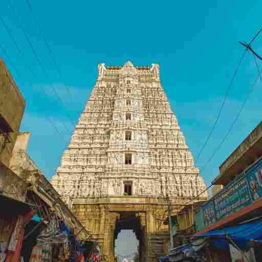 Vellore to Tirupati 2-Day Excursion by Car