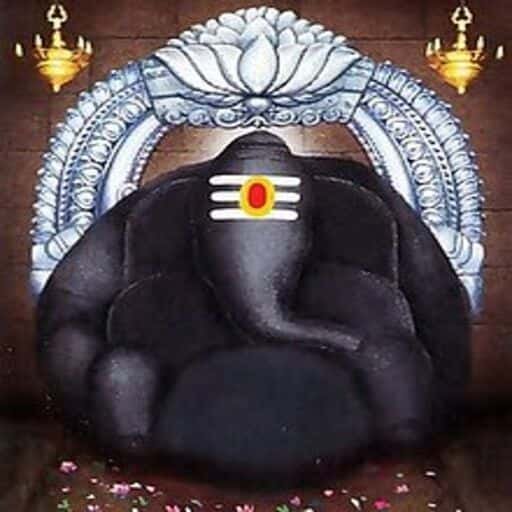 Sri Varasiddhi Temple Image