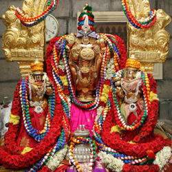 chennai to tirupati travel packages