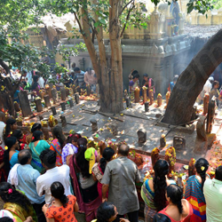chennai tirupati taxi package