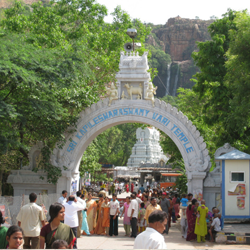 chennai to tirupati balaji darshan package