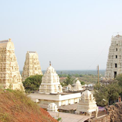Tirupati Darshan