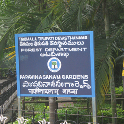 Tirupati car rental package from Chennai