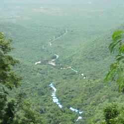 Tirupati darshan tickets brokers