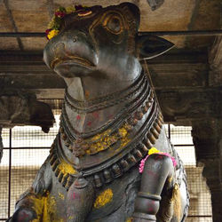 Chennai To Tiruvannamalai Packages