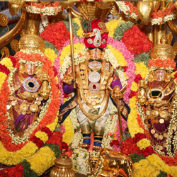 chennai to tirupati car rental services