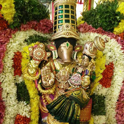 srivani trust vip darshan booking online