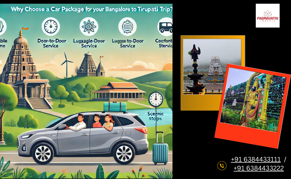 The Best Car Rental Options For Your Tirupati Visit (3)