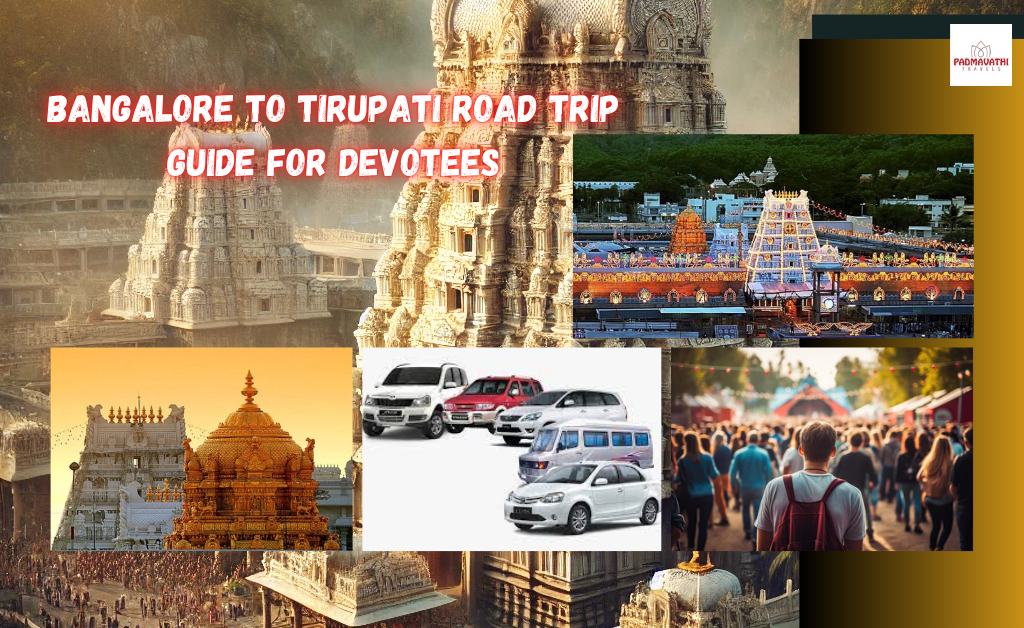 Tirupati Darshan Experience (1)