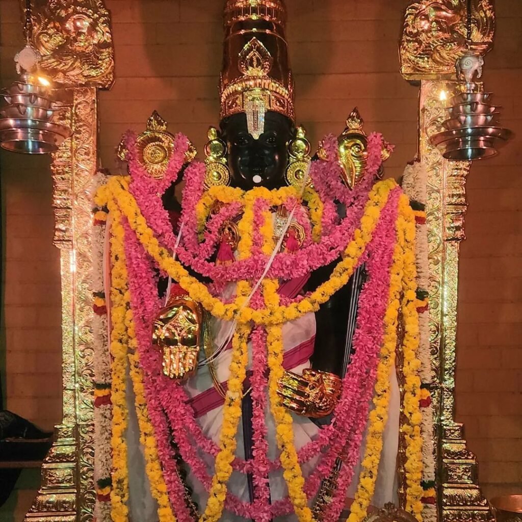 Srivani VIP Break Darshan