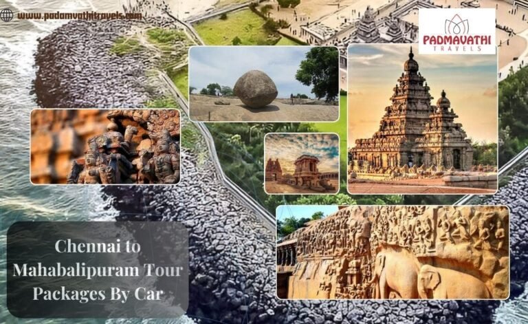 Discover Mahabalipuram: One Day Tour from Chennai