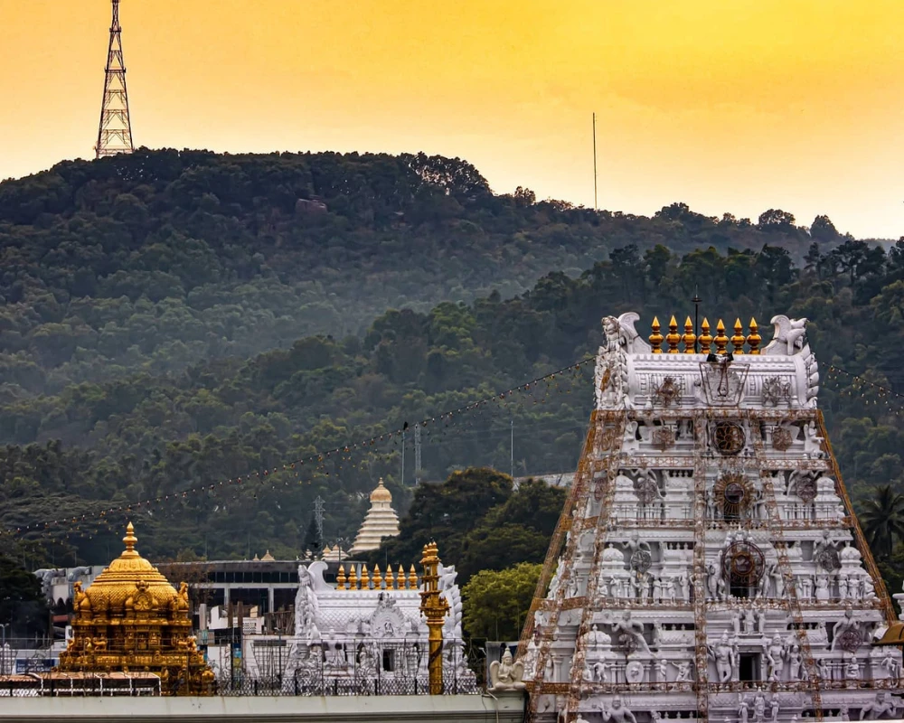 Infant Darshan package