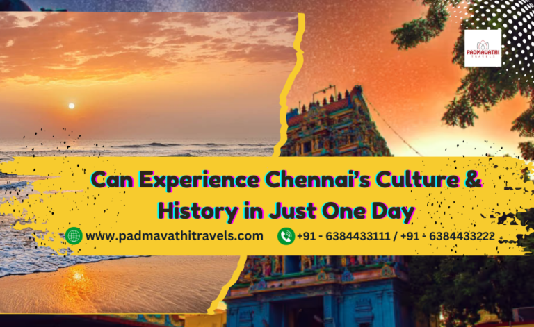 Can Experience Chennai’s Culture & History in Just One Day