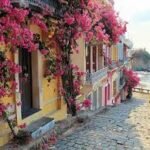 Chennai to Pondicherry Tour Package