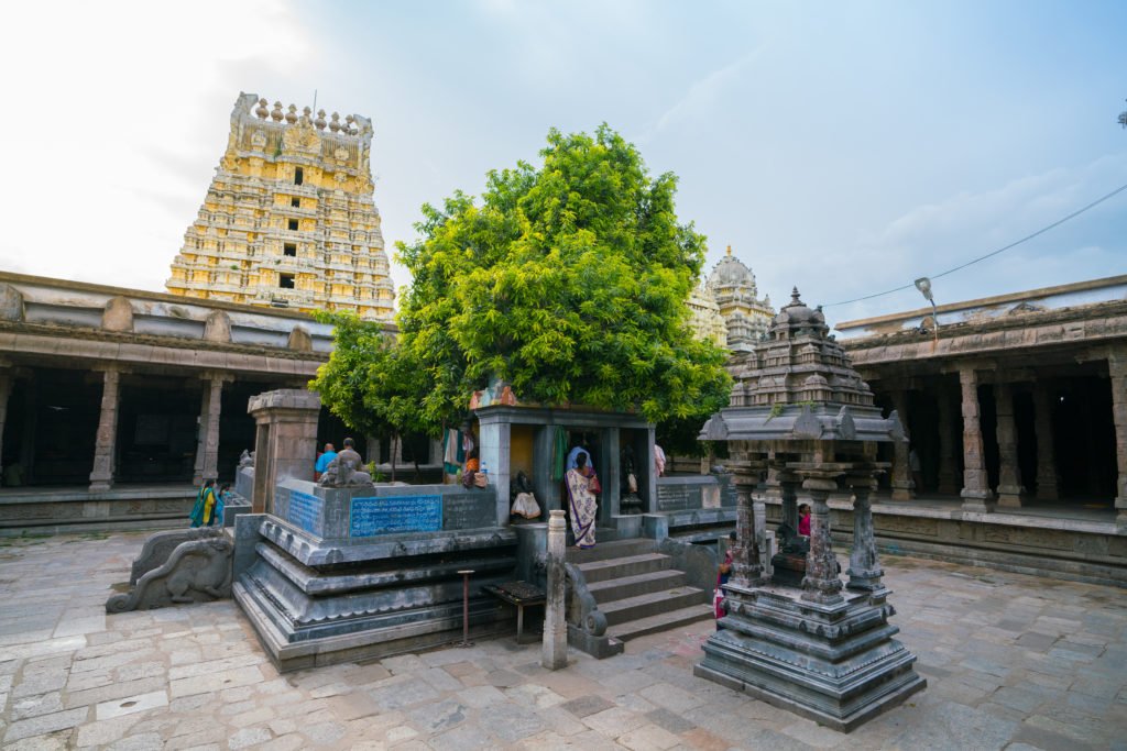 Kanchipuram One Day Tour Package