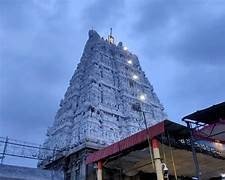 Special Entry Darshan tickets for February 2025