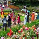 Coimbatore to Kodaikanal Local Tour