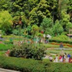 Bryant_park_kodaikanal_20180324215109