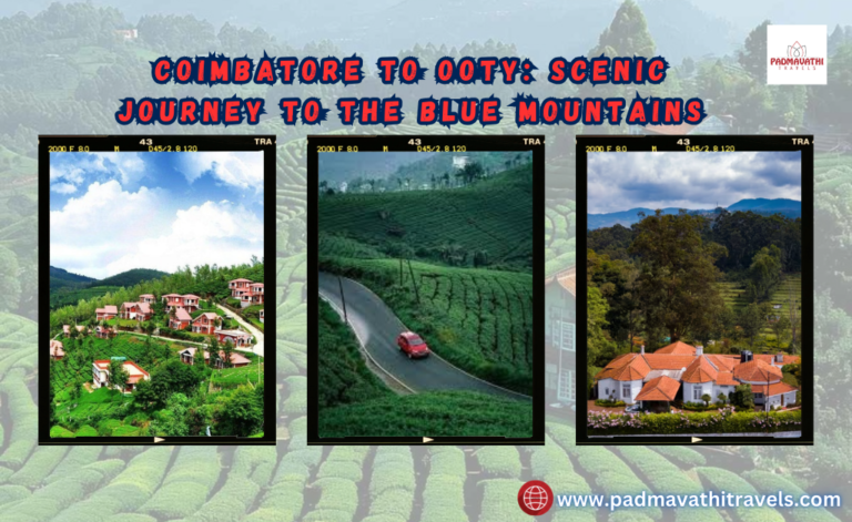 Coimbatore to Ooty: Scenic Journey to the Blue Mountains