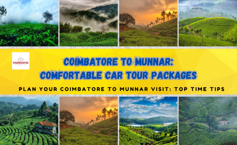 Coimbatore to Munnar: Comfortable Car Tour Packages