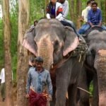 Coimbatore to Munnar
