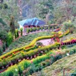 Coimbatore to Munnar