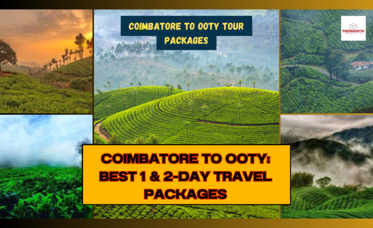 Coimbatore to Ooty: Best 1 & 2-Day Travel Packages