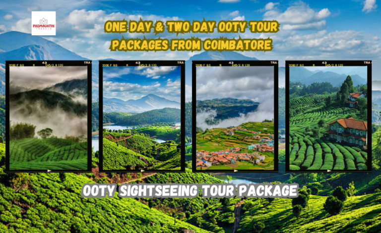 One Day & Two Day Ooty Tour Packages from Coimbatore