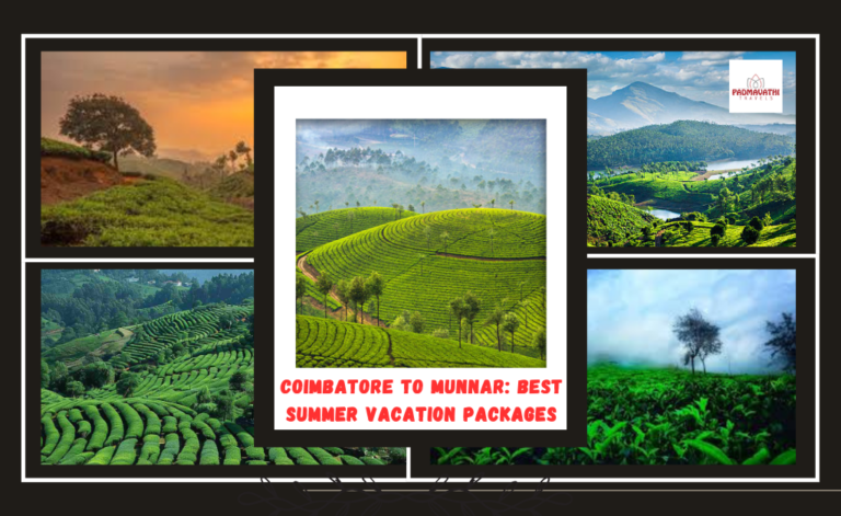Coimbatore to Munnar: Best Summer Vacation Packages