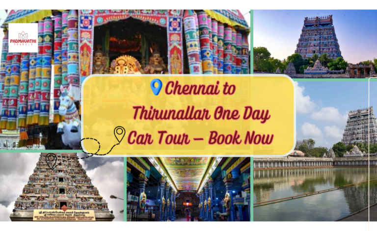 Chennai to Thirunallar One Day Car Tour – Book Now