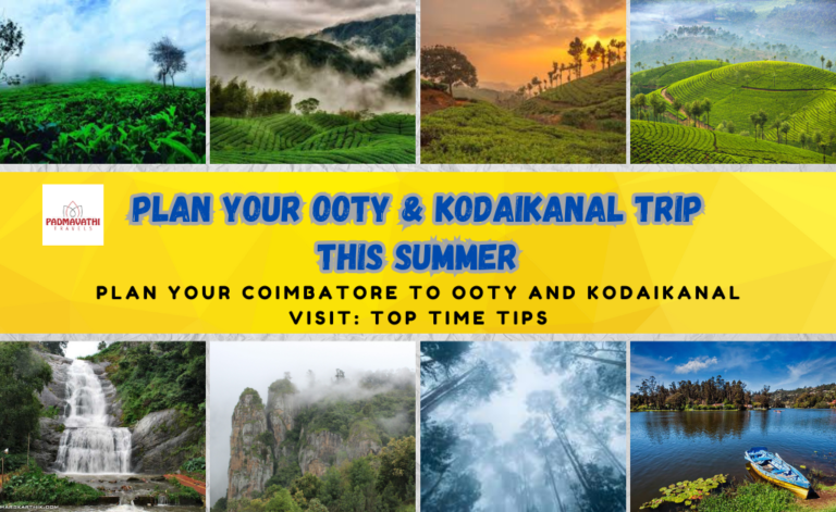 Plan Your Ooty & Kodaikanal Trip This Summer
