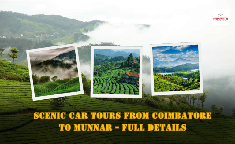 Scenic Car Tours from Coimbatore to Munnar – Full Details