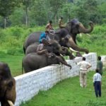 dubare-elephant-camp-coorg-entry-fee-timings-holidays-reviews-header