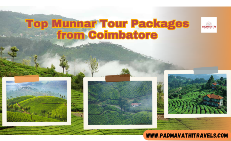 Top Rated Munnar Tour Packages from Coimbatore