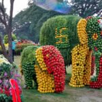 Fruit-Show