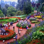 Ooty-Flower-Show-2024-Festival-Details