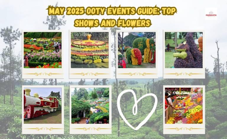 May 2025 Ooty Events Guide: Top Shows and Flowers