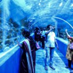 VGP-marine-kingdom-aquarium-visitors-india-1024x596