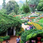 ooty-flower-show-2018