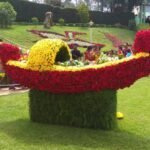 rose-show